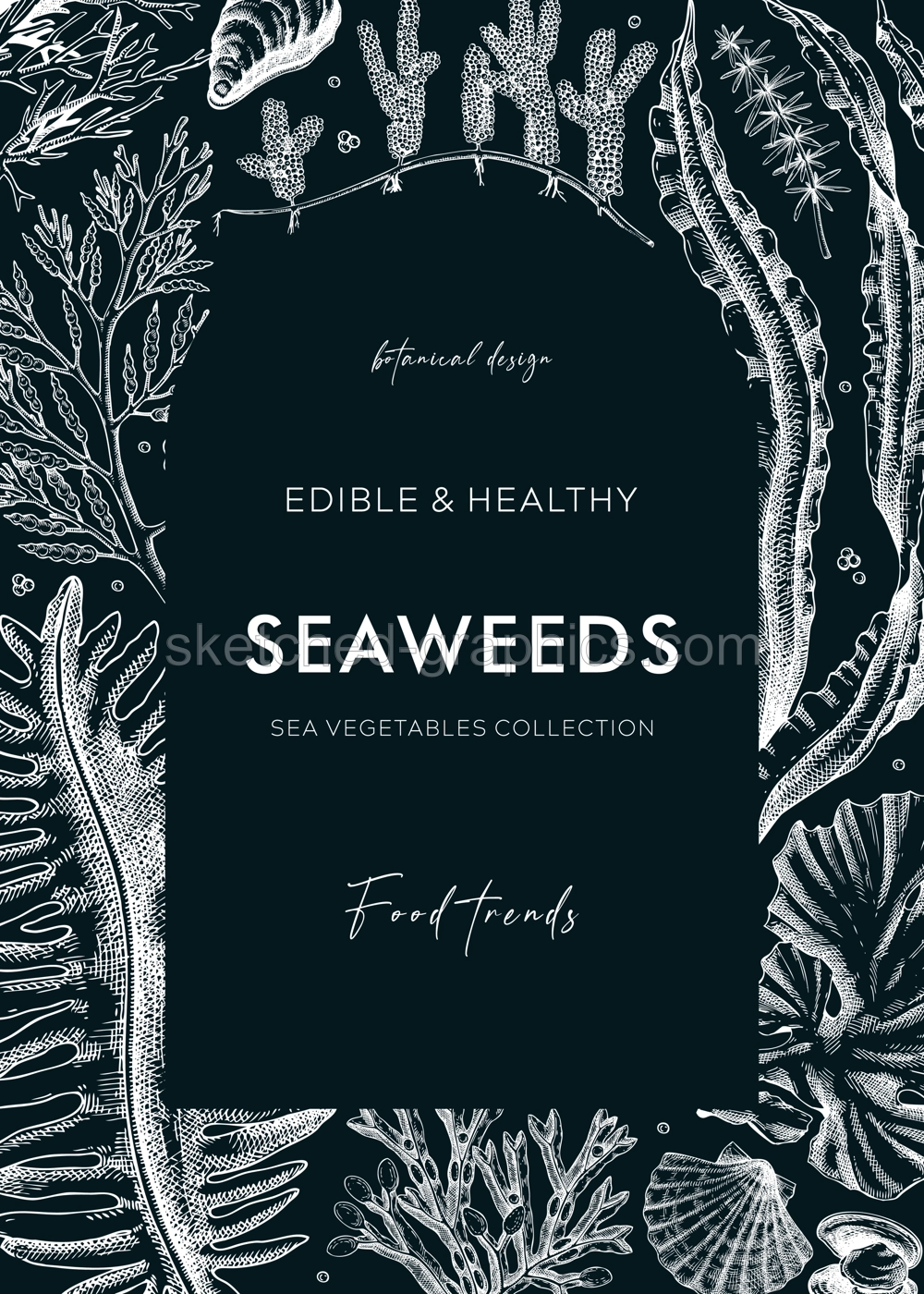 Edible seaweeds frame design on chalkboard. Hand drawn sea algae in sketch style. Vector illustration with kelp, wakame, kombu, and hijiki drawings. Healthy food ingredients banner for Asian cuisine Illustration